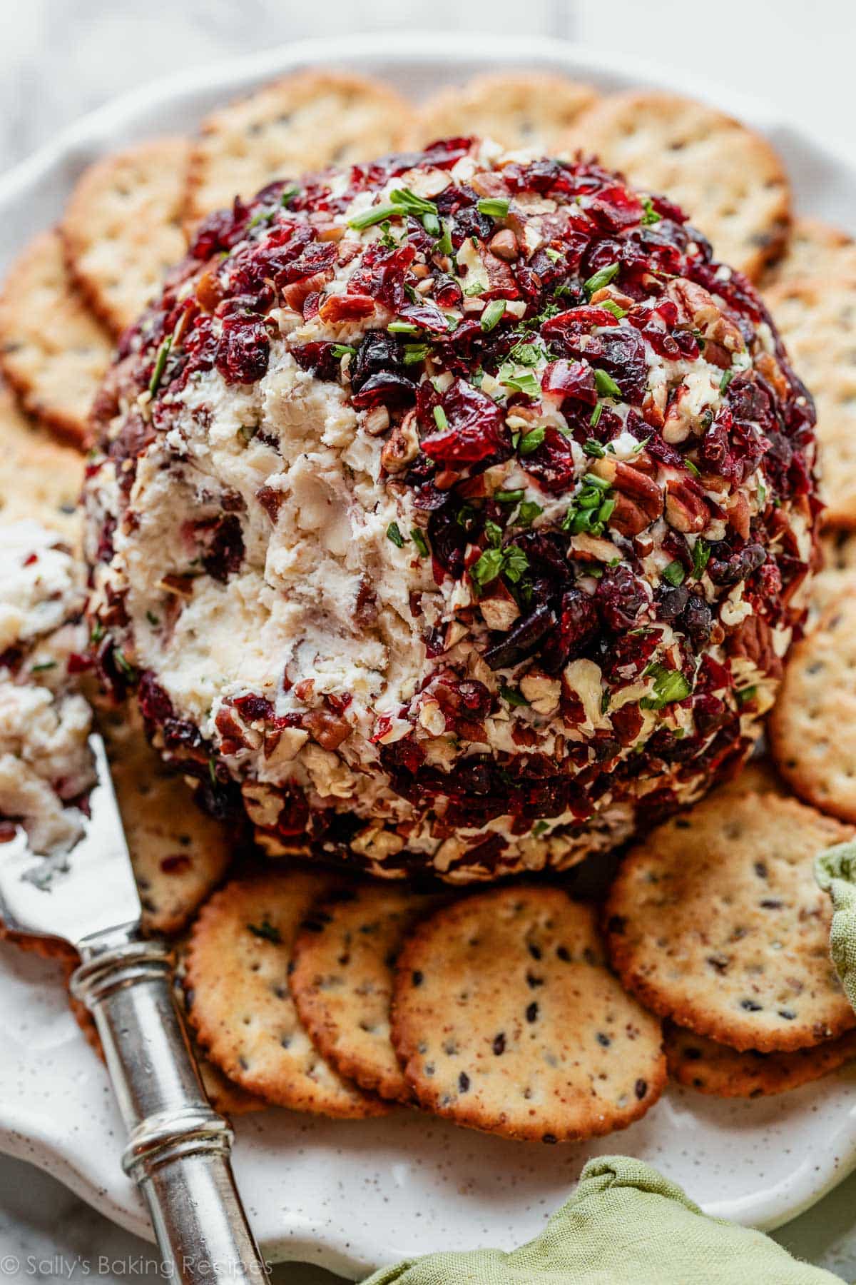 Cranberry Pecan Cheese Ball (Party Favorite!) - Sally's Baking